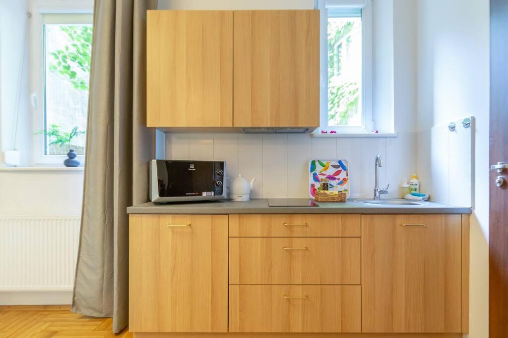 May C Studio W/Balcony クラクフ エクステリア 写真